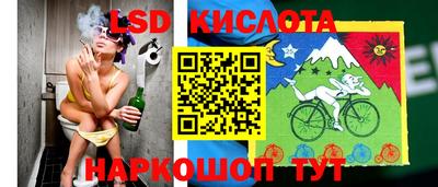 сатива Будённовск