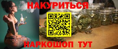 сатива Будённовск