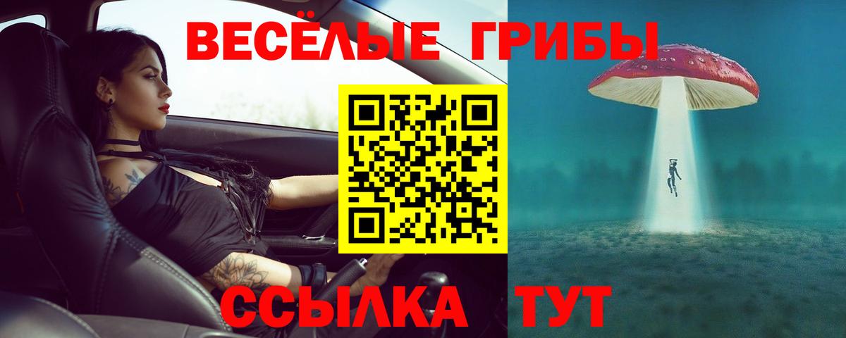 Галлюциногенные грибы MAGIC MUSHROOMS Североуральск