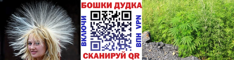 Конопля планчик  blacksprut ссылка  Североуральск  продажа наркотиков 